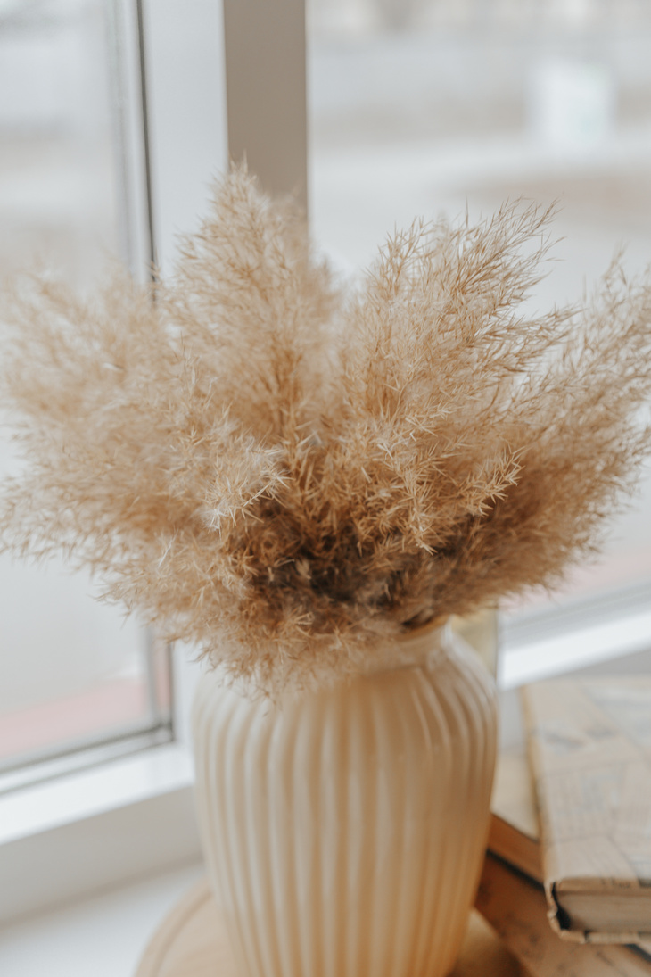 Pampas grass near window in room