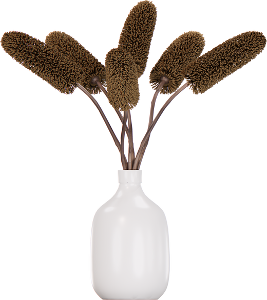 Pampas Grass in White Vase